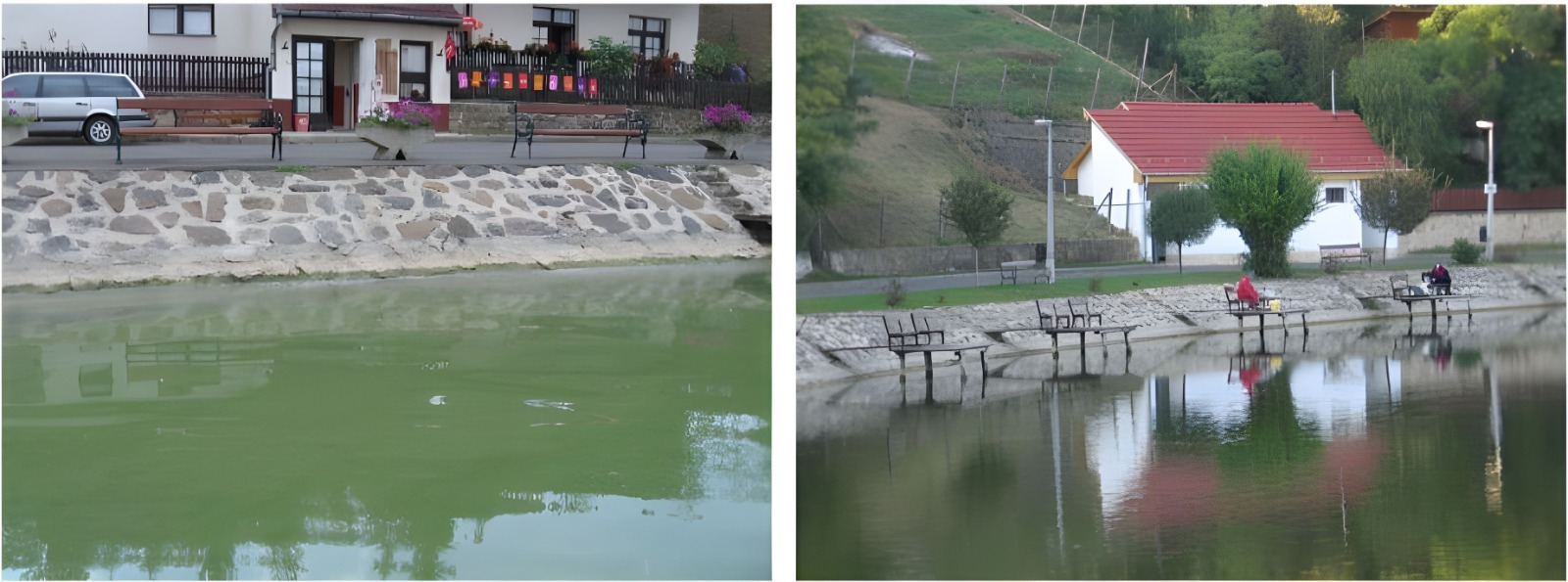 Galerie fotografie 10